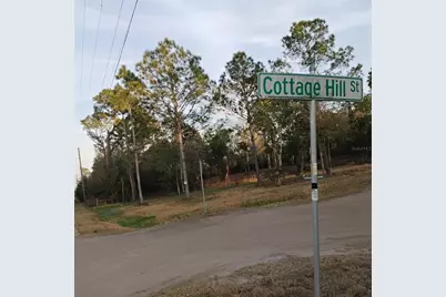 0 Alturas Babson Park Cutoff Road #Lot 78, Bartow, FL 33830 - Photo 7