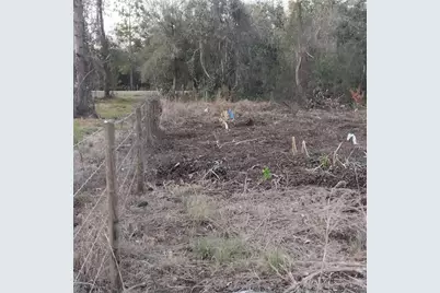 Alturas Babson Park Cutoff Road, Bartow, FL 33830 - Photo 11