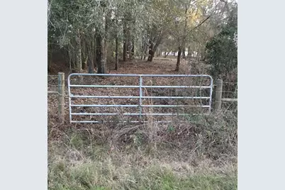 Alturas Babson Park Cutoff Road, Bartow, FL 33830 - Photo 3