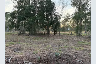 0 Alturas Babson Park Cutoff Road #Lot 78, Bartow, FL 33830 - Photo 13