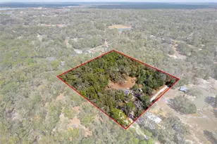 11881 SW 45th St, Webster, FL 33597 - Photo 3