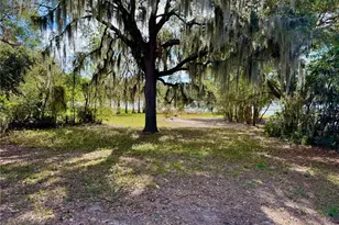 13145 Plum Lake Cir, Minneola, FL 34715 - Photo 27