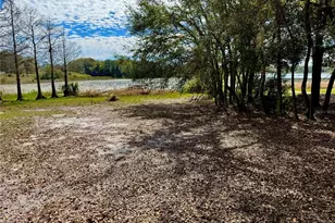 13145 Plum Lake Cir, Minneola, FL 34715 - Photo 29