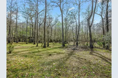 8935 Cr 647S, Bushnell, FL 33513 - Photo 19