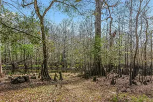 8935 Cr 647s, Bushnell, FL 33513 - Photo 21