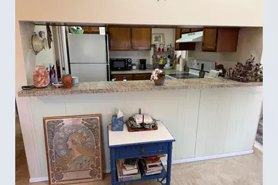 1051 S Highland Street #3D, Mount Dora, FL 32757 - Photo 5