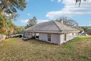 2115 Oak Leaf Cir, Mount Dora, FL 32757 - Photo 31