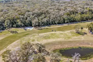 3935 Parway Rd, Zellwood, FL 32798 - Photo 59