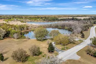 3935 Parway Rd, Zellwood, FL 32798 - Photo 55