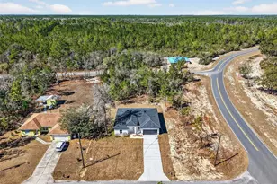 16 Malauka Ln Dr, Ocklawaha, FL 32179 - Photo 7