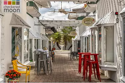 832 E 9th Avenue, Mount Dora, FL 32757 - Photo 61