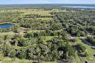 43411 State Road 19, Altoona, FL 32702 - Photo 43