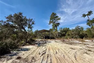 41239 Balsam St, Eustis, FL 32736 - Photo 27