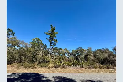 Lot 11 Poinciana Street, Eustis, FL 32736 - Photo 19