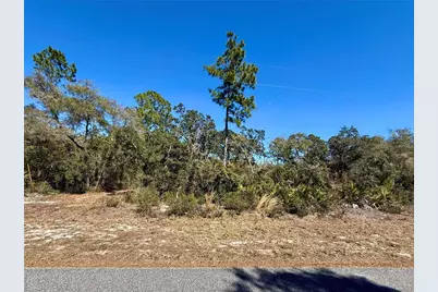 Lot 11 Poinciana Street, Eustis, FL 32736 - Photo 7