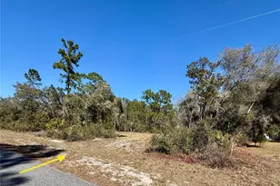 Lot 11 Poinciana St, Eustis, FL 32736 - Photo 1
