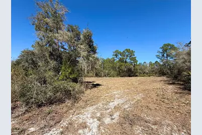 Lot 11 Poinciana Street, Eustis, FL 32736 - Photo 3