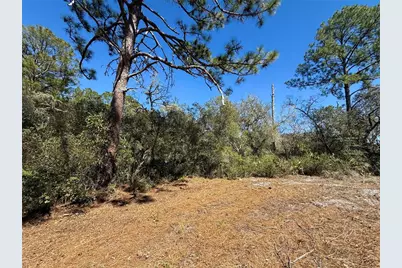 Lot 11 Poinciana Street, Eustis, FL 32736 - Photo 13