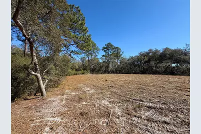 Lot 11 Poinciana Street, Eustis, FL 32736 - Photo 9