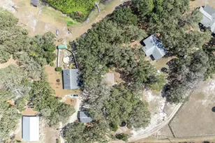 9043 SE 180th Ave, Ocklawaha, FL 32179 - Photo 37