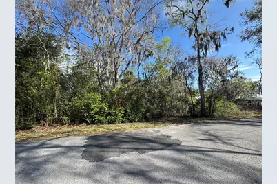 Cr 482C, Lake Panasoffkee, FL 33538 - Photo 5