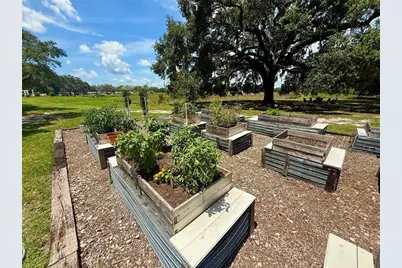 3607 Umbrella Tree Lane, Oxford, FL 34484 - Photo 51