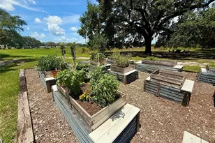 3607 Umbrella Tree Ln, Oxford, FL 34484 - Photo 51