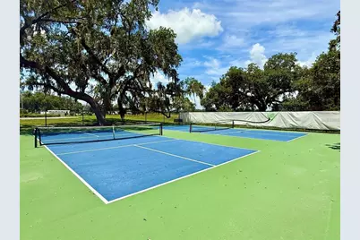 3607 Umbrella Tree Lane, Oxford, FL 34484 - Photo 47