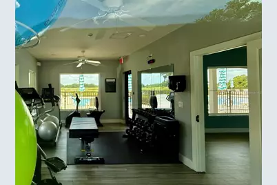 3607 Umbrella Tree Lane, Oxford, FL 34484 - Photo 43