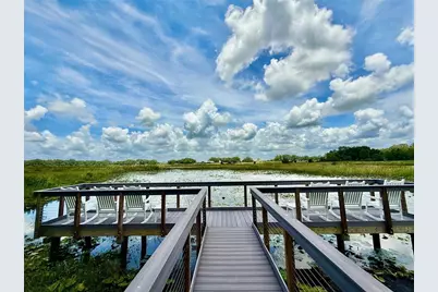 3607 Umbrella Tree Lane, Oxford, FL 34484 - Photo 41