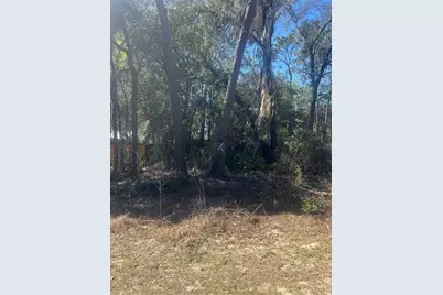 W Second Avenue, Umatilla, FL 32784 - Photo 1