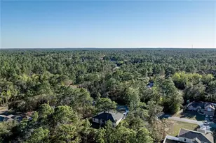 9333 N Samoa Way, Citrus Springs, FL 34433 - Photo 45