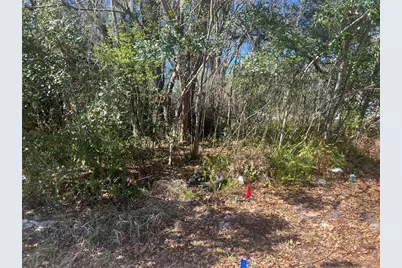 0 Stinson Street, Leesburg, FL 34748 - Photo 1