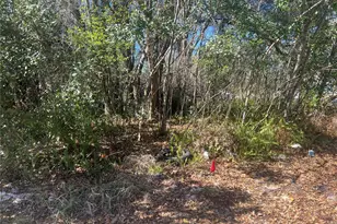 0 Stinson St, Leesburg, FL 34748 - Photo 1