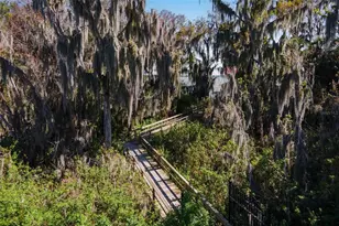 3130 Bulkley Pl, Eustis, FL 32726 - Photo 55