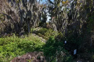 3130 Bulkley Pl, Eustis, FL 32726 - Photo 57