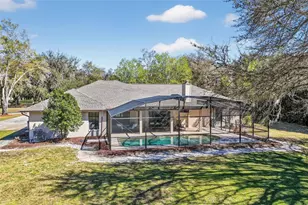 32239 Wolf Branch Ln, Sorrento, FL 32776 - Photo 33