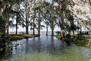 11322 Dead River Rd, Tavares, FL 32778 - Photo 11