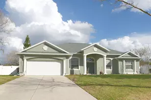 2309 Wolf Ridge Ln, Mount Dora, FL 32757 - Photo 61