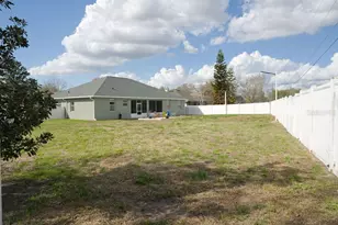 2309 Wolf Ridge Ln, Mount Dora, FL 32757 - Photo 53