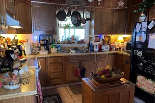 1050 Cr 482D, Lake Panasoffkee, FL 33538 - Photo 5