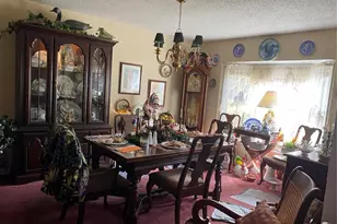 1050 Cr 482D, Lake Panasoffkee, FL 33538 - Photo 7