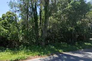 Tbd Broken Arrow Dr, New Port Richey, FL 34653 - Photo 1