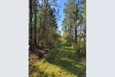 4620 405th Street E, Myakka City, FL 34251 - Photo 39