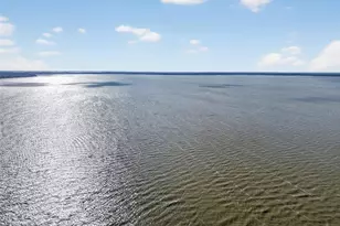 1242 Palmetto Rd, Eustis, FL 32726 - Photo 43