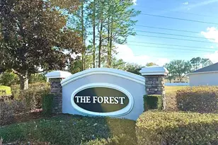 2709 SE 45th Ave, Ocala, FL 34480 - Photo 57