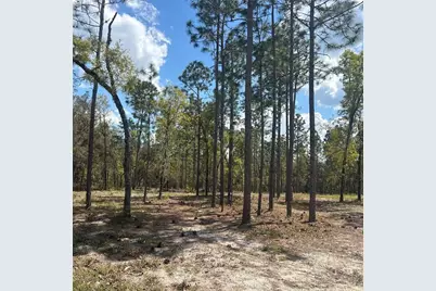 2395 NW 81st Avenue, Wildwood, FL 34785 - Photo 13
