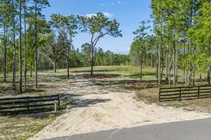 2395 NW 81st Ave, Wildwood, FL 34785 - Photo 1
