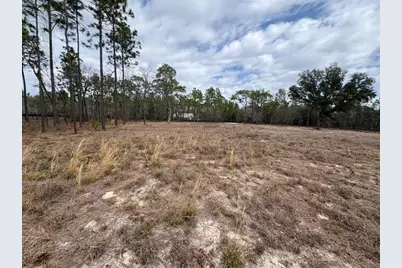 2395 NW 81st Avenue, Wildwood, FL 34785 - Photo 9