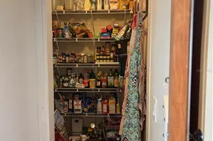 8009 Sergeant Pepper Dr, Howey in the Hills, FL 34737 - Photo 29